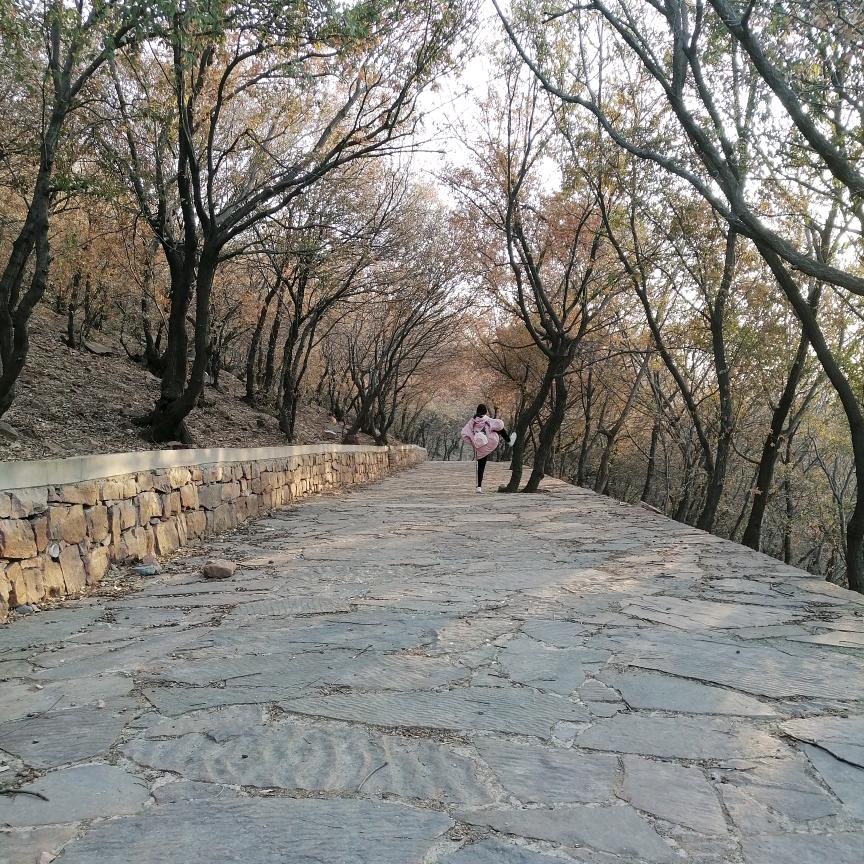 铝天花蜂窝板批发：