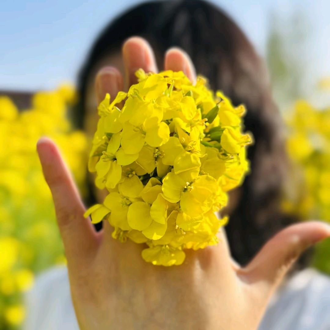 木易侠