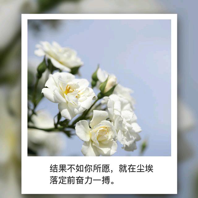 好运常伴