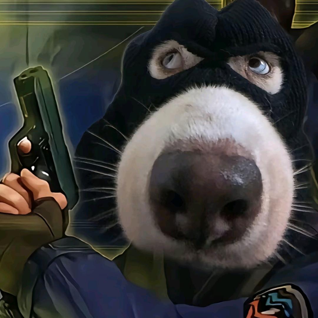 csol吃土（灾变版）