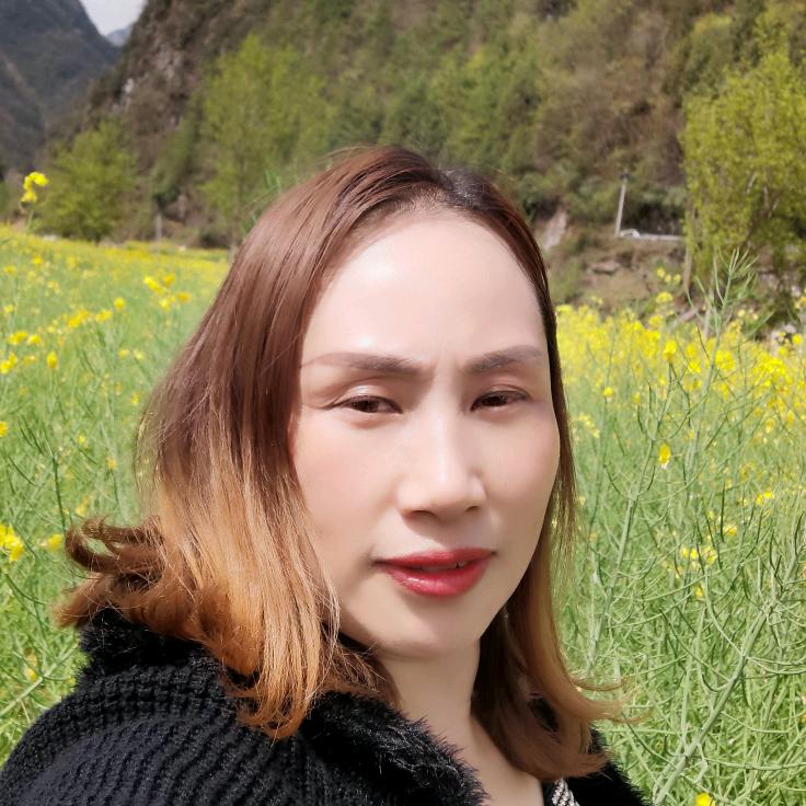 雪山上的格桑花