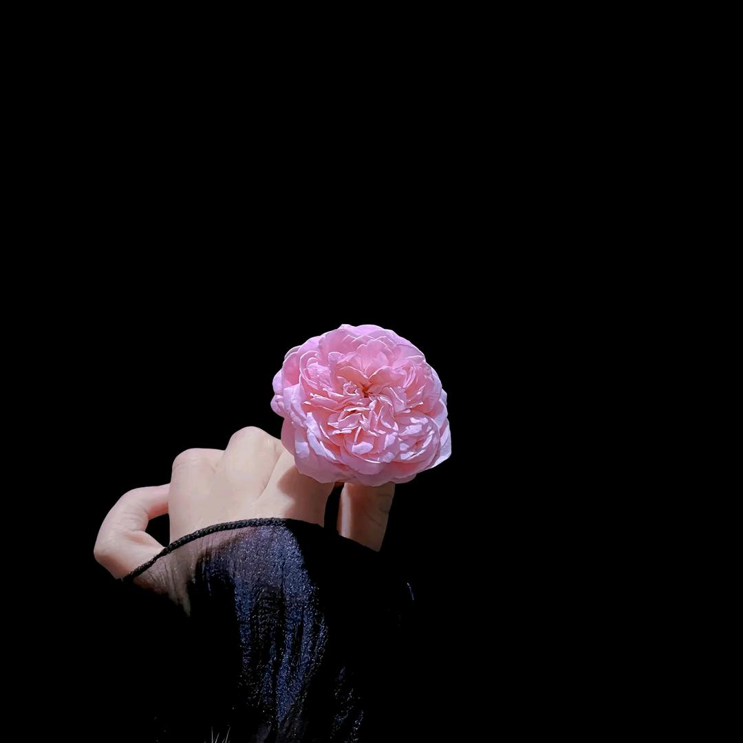 遇见便是上上签