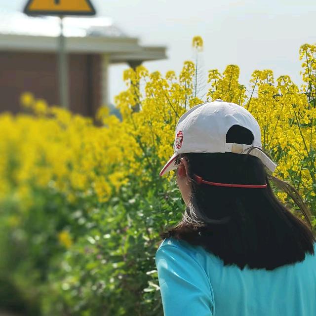 朱妹