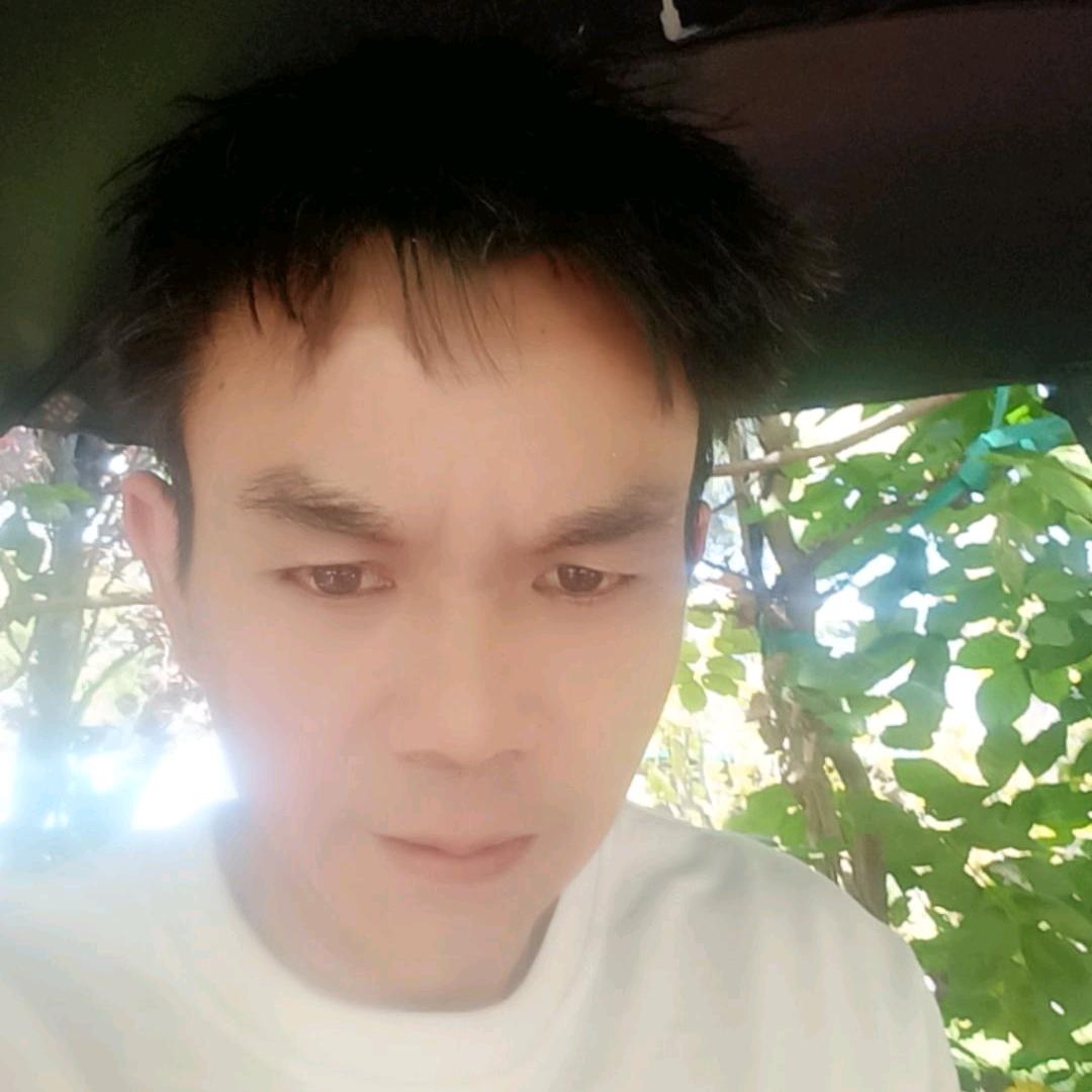 小马哥销售各种玫瑰花🌷