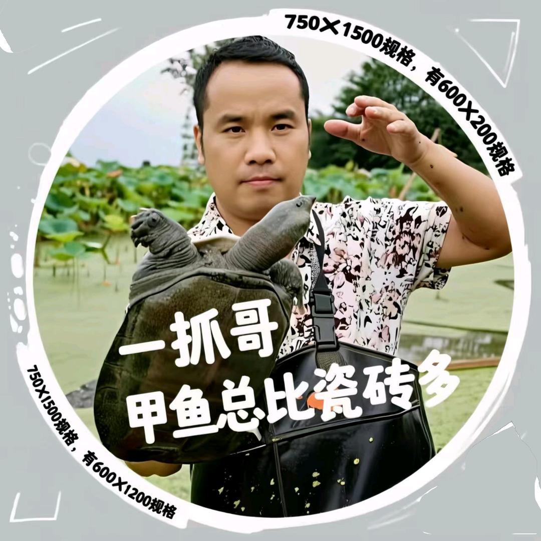 一抓哥优选