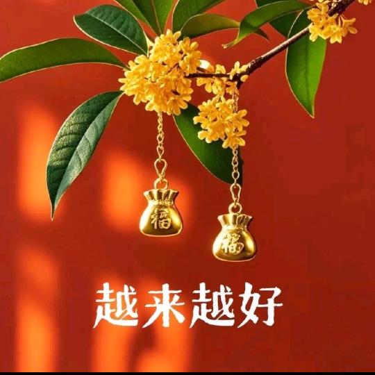 琴声悠杨232