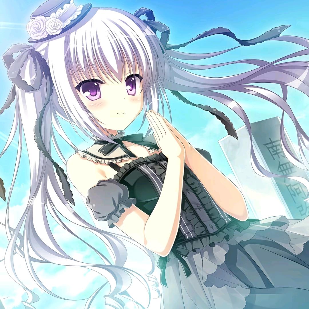 鸢