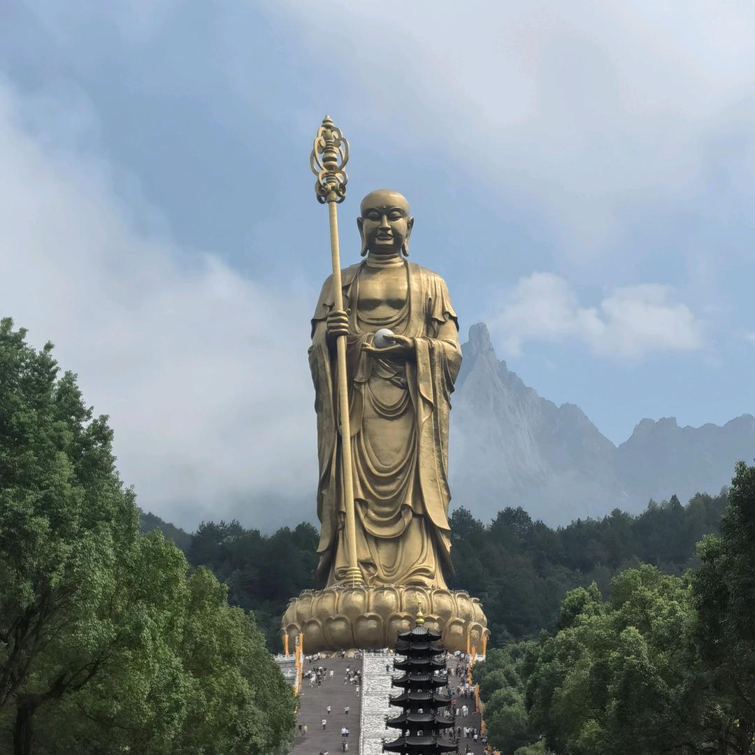 道地药材