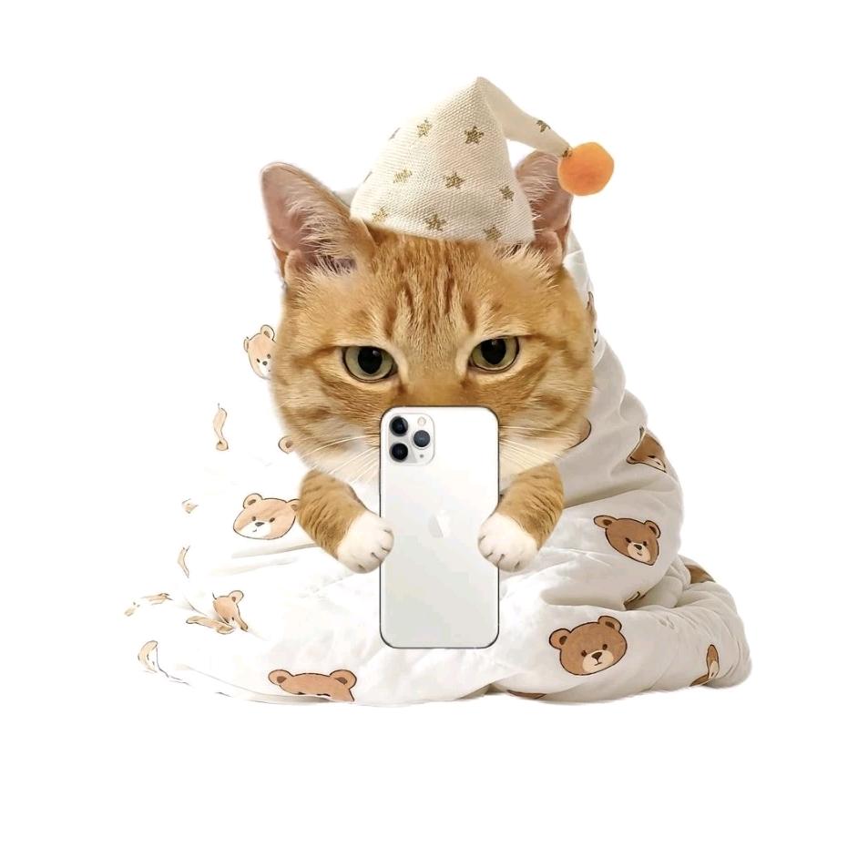 小猪头肉