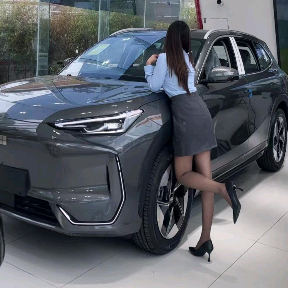 雅安川洋汽车（娇娇妹）