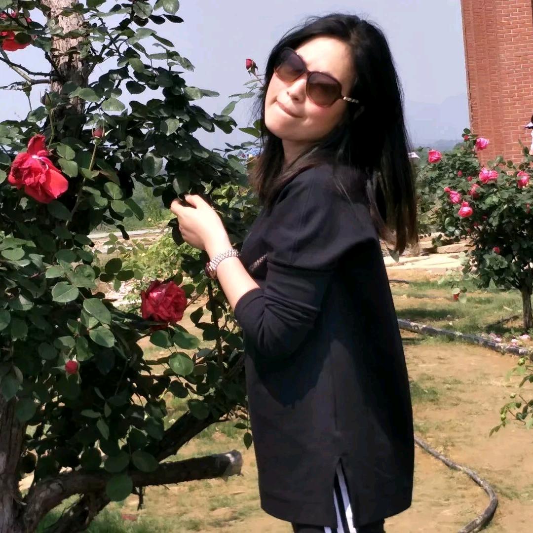 木藏山金蛋子专场