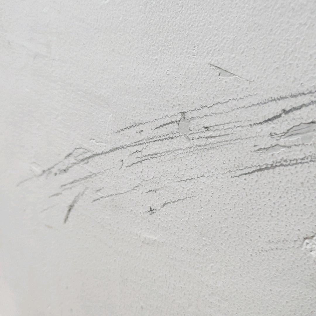 热心小市民(๑><๑)