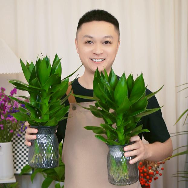 叶恩园艺绿植