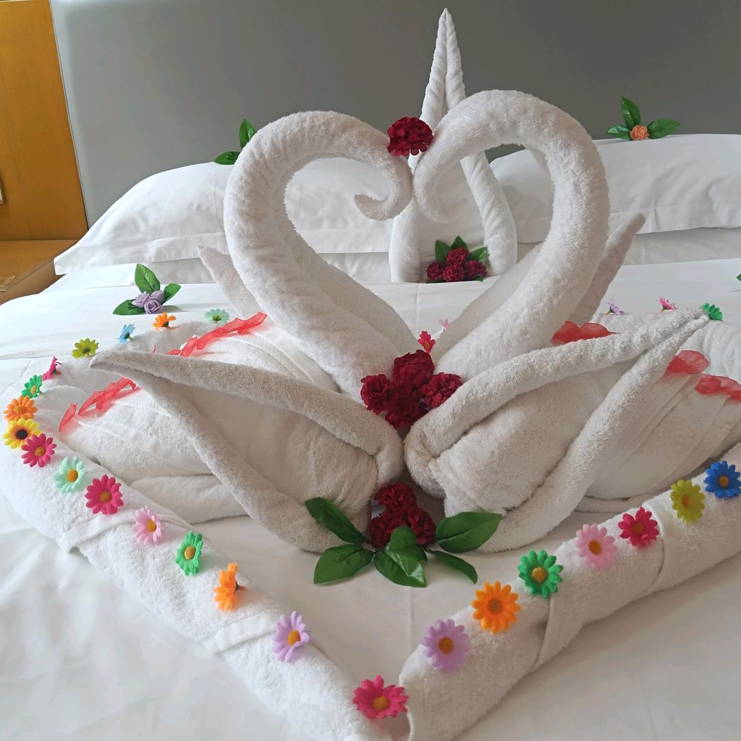 百合花ƪ(˘⌣˘)ʃ优雅