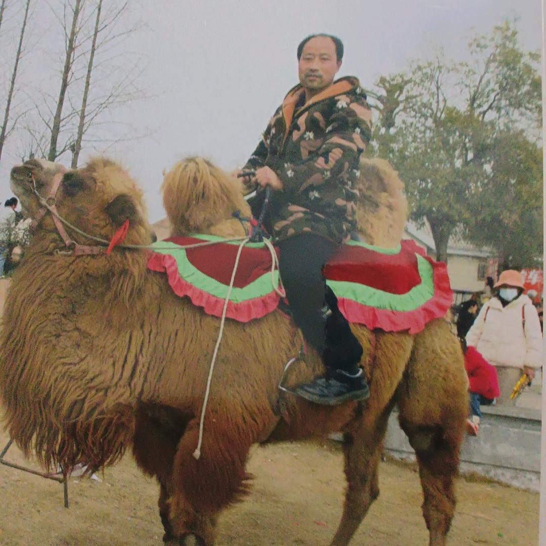 徐其林