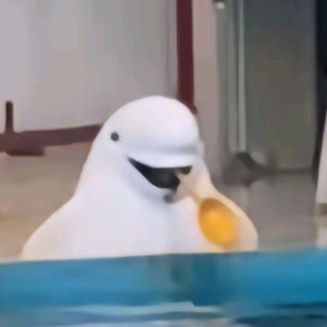 眼shi