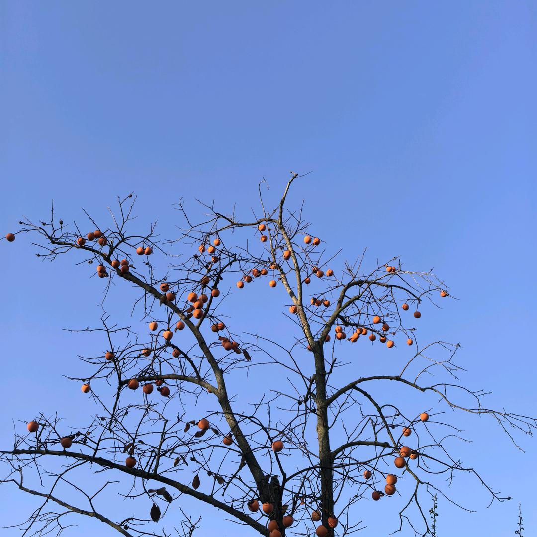 (^～^)（・∀・）