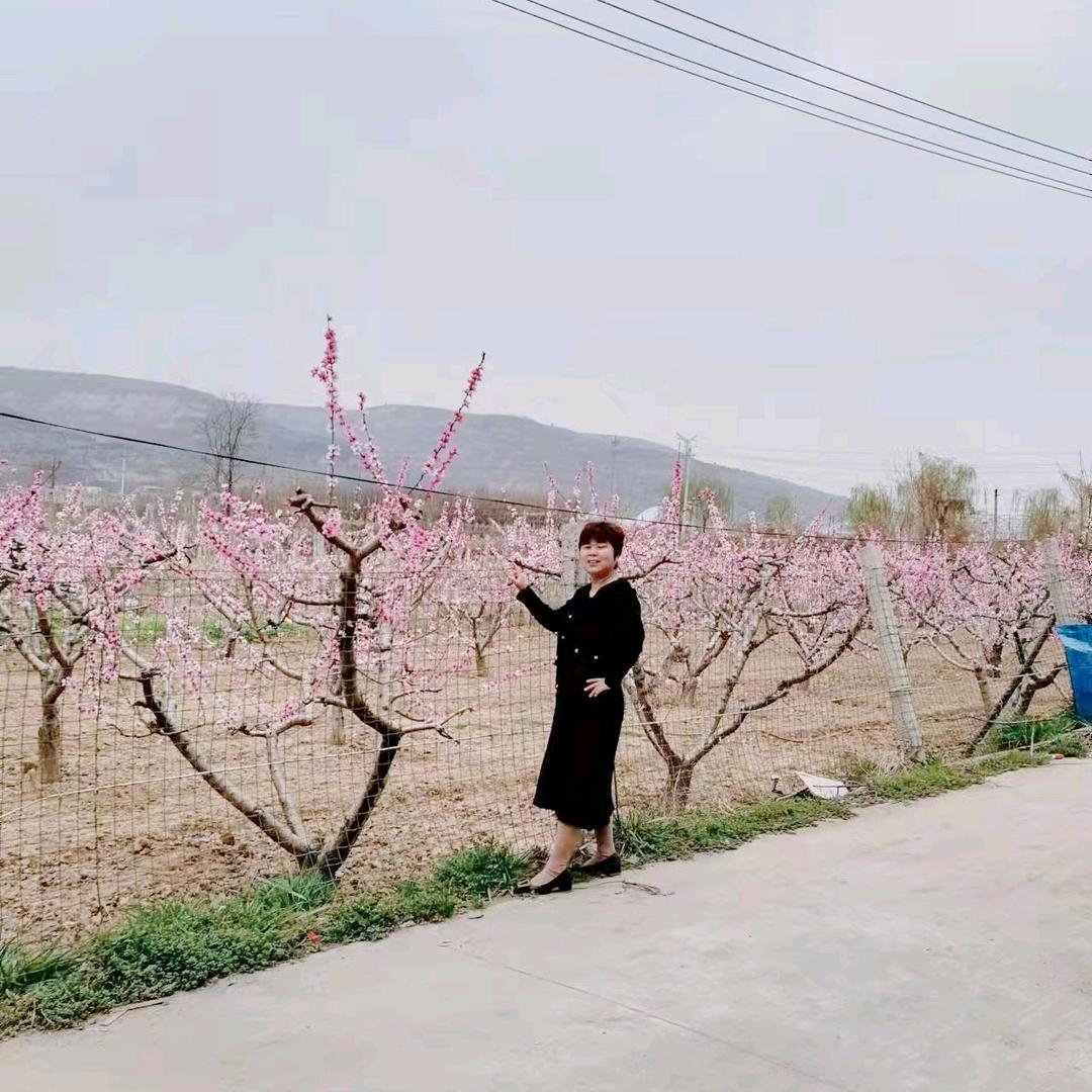 落雪听梅