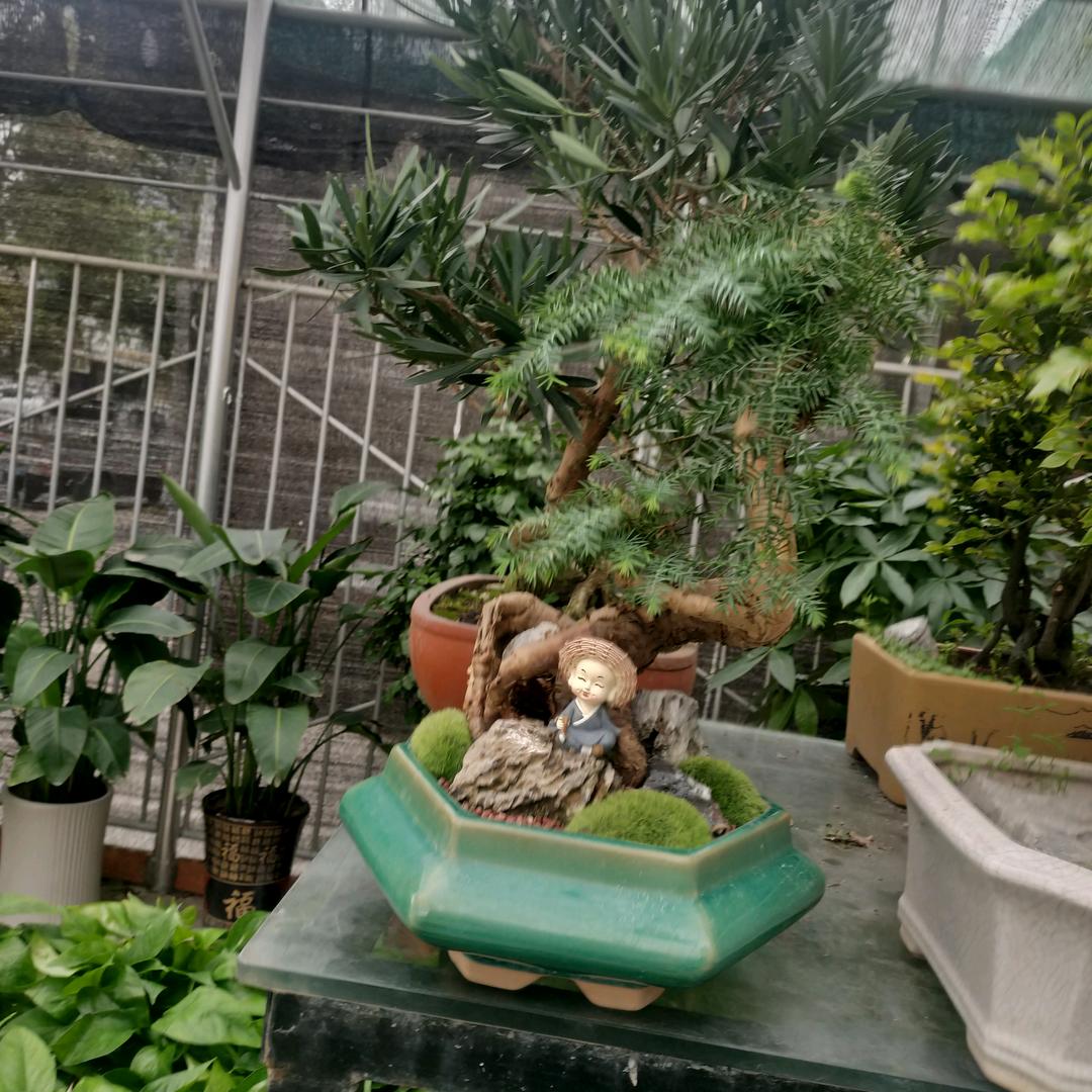 洪华