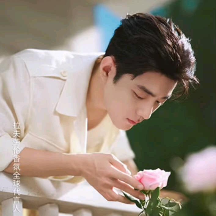 工作忙碌中(51846)