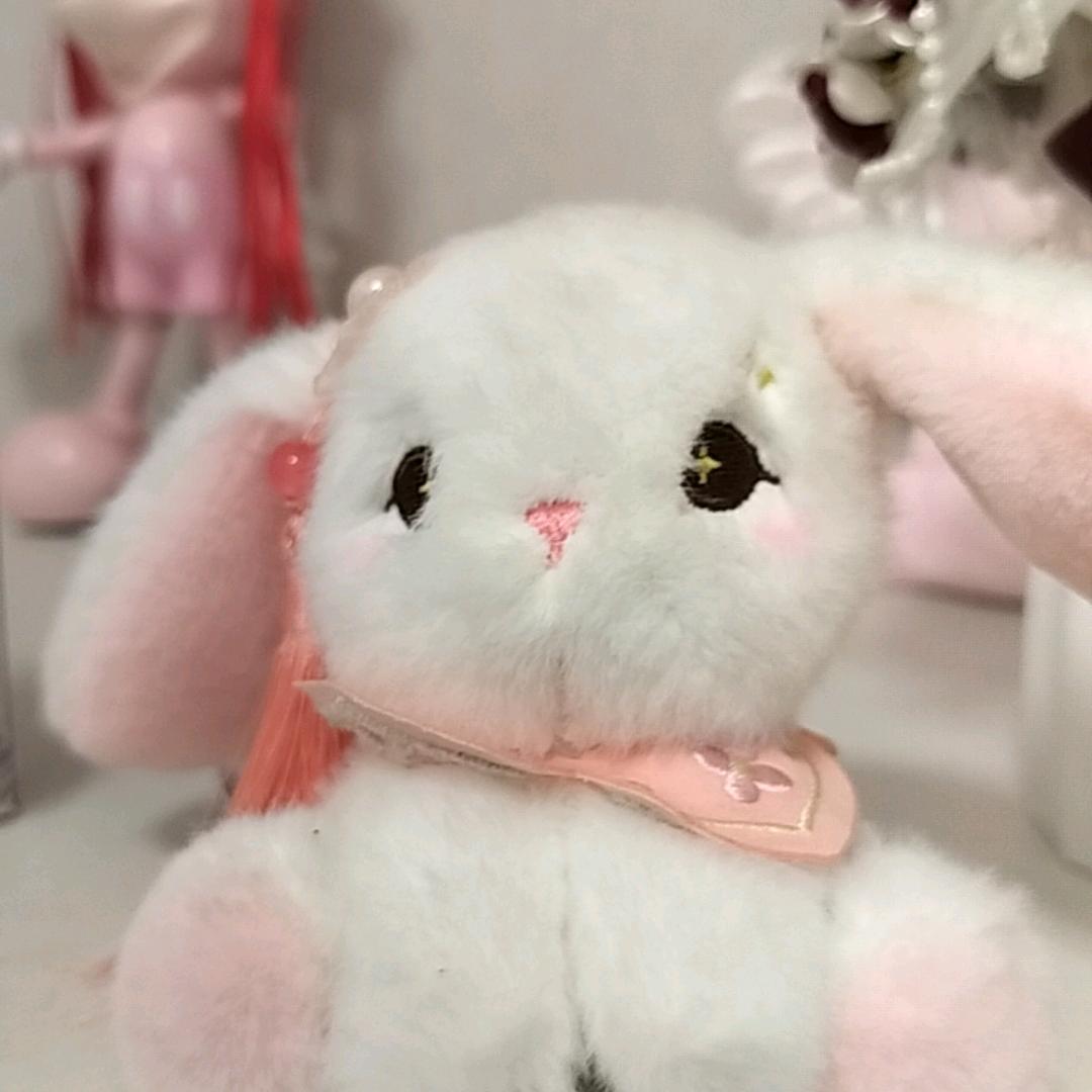 安桂