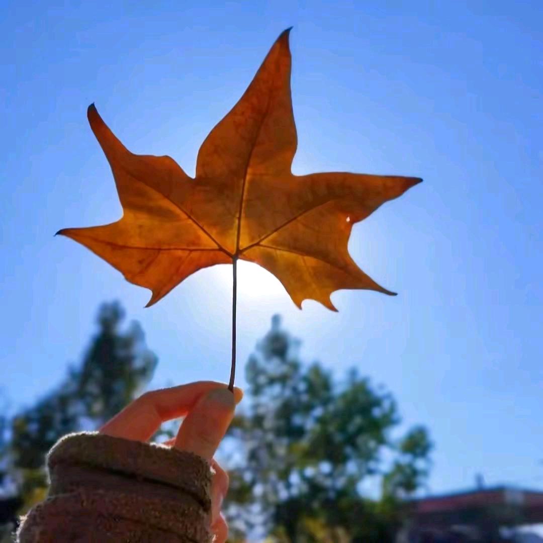 （WYJ），好好的