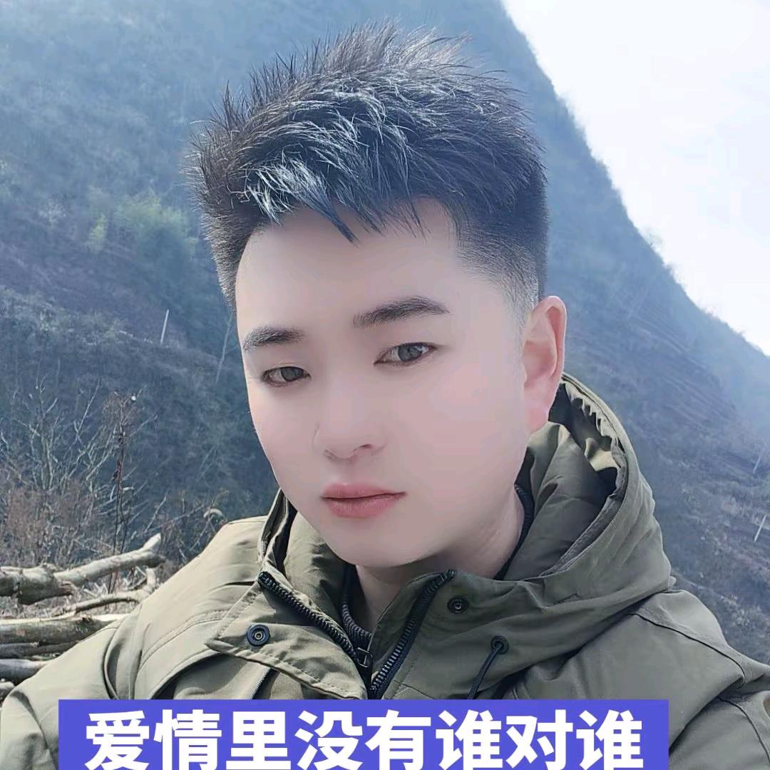 浪子少帅