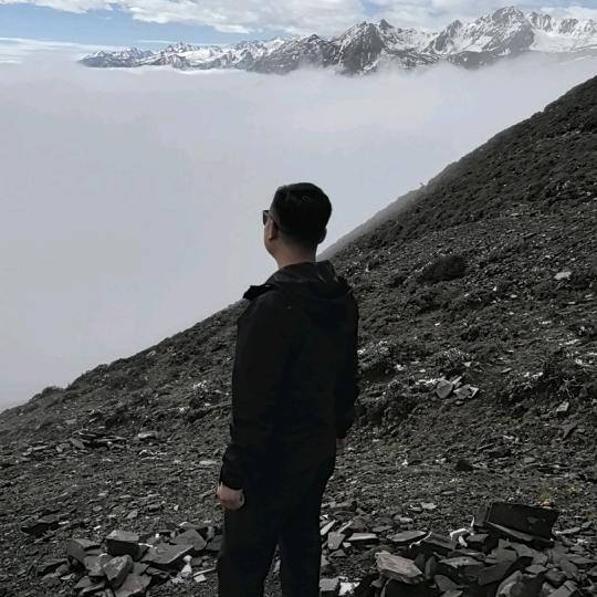 楊