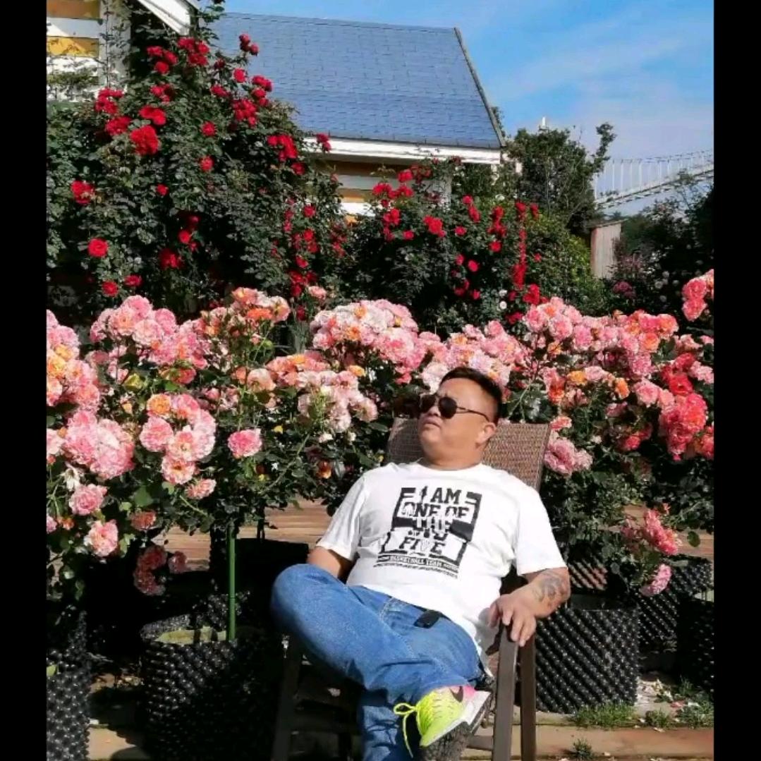 🐉一笑而过🤗