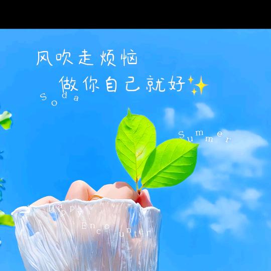 ❀˳꒰*´ 追求 `*꒱❀