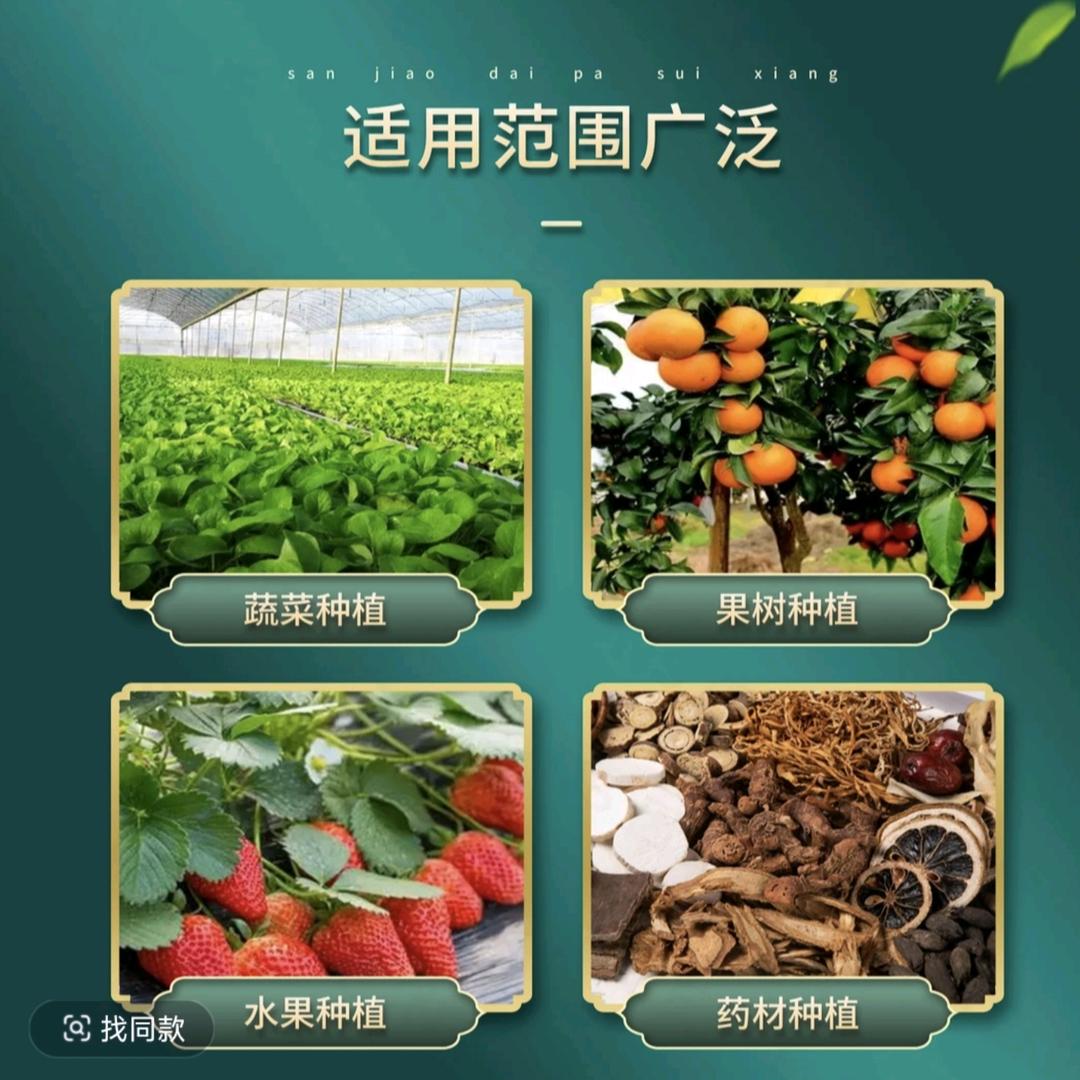 源头厂家技术指导安老师