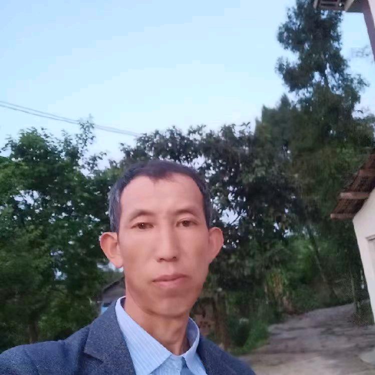 ☘️一生有;李:🍀