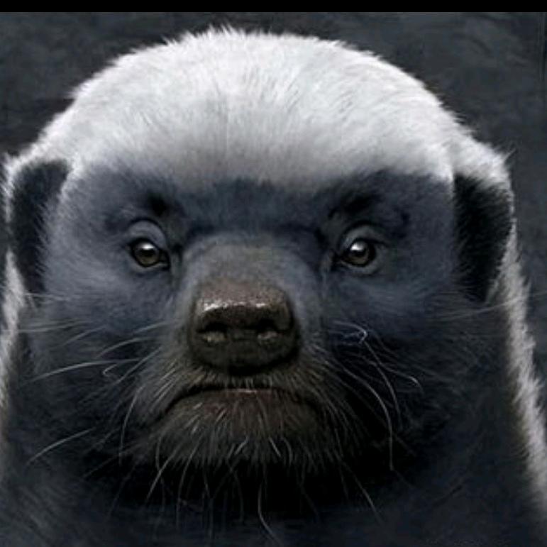 平头哥（踔厉奋发）