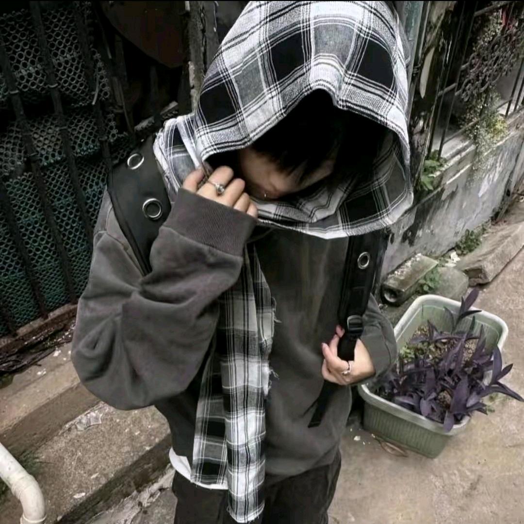 zz万