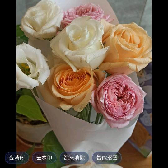 不爱滚开