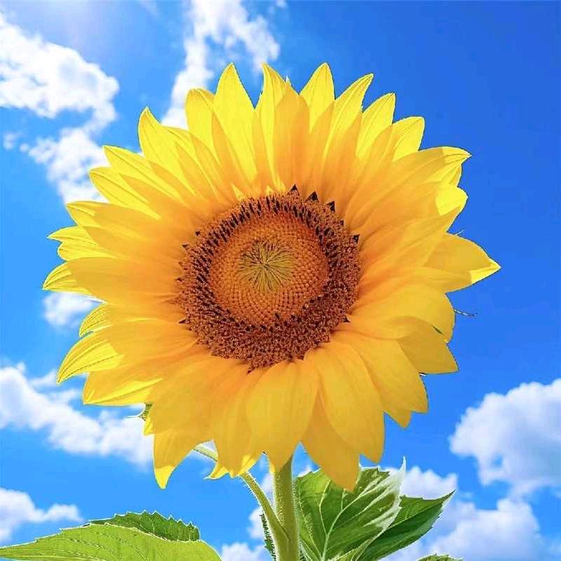 上善若水，厚德载物