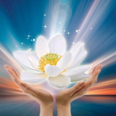 众生菩萨，我爱你