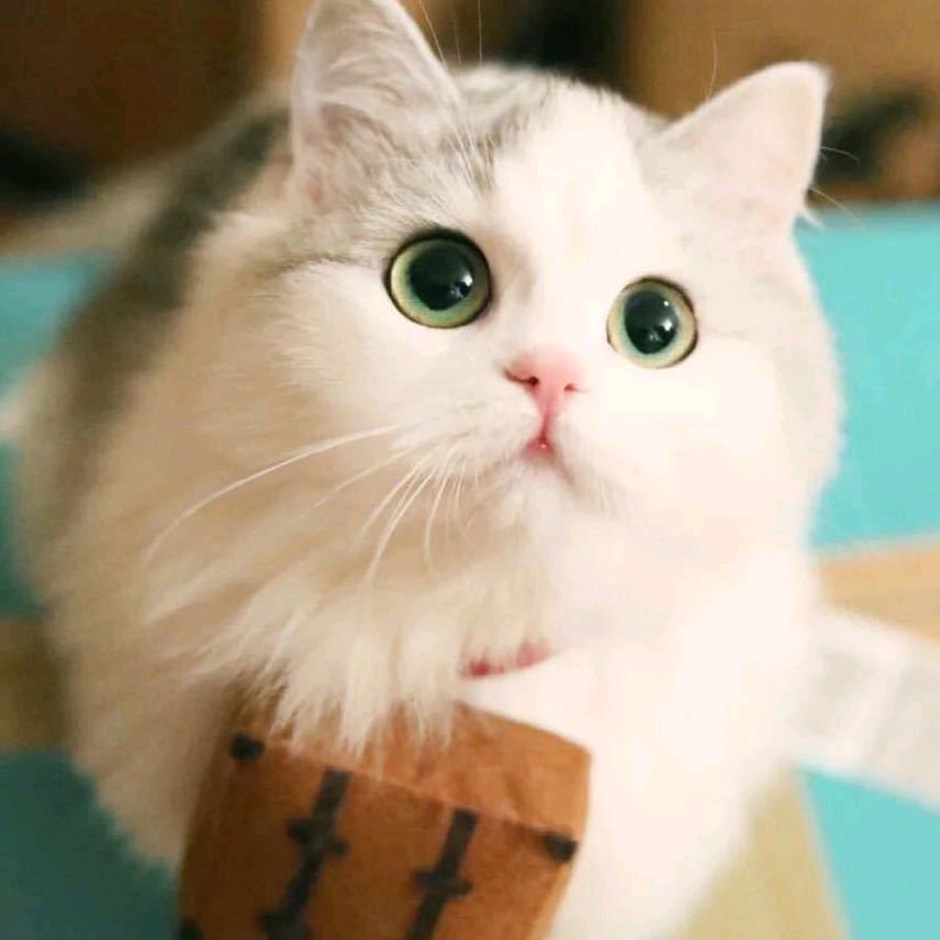 缘分