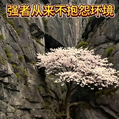 ✌(̿▀̿ ̿Ĺ̯̿̿▀̿ ̿)✌飞跃