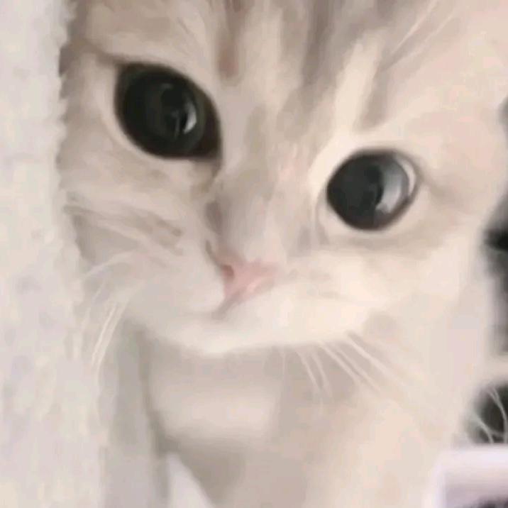 我的女朋友很可爱