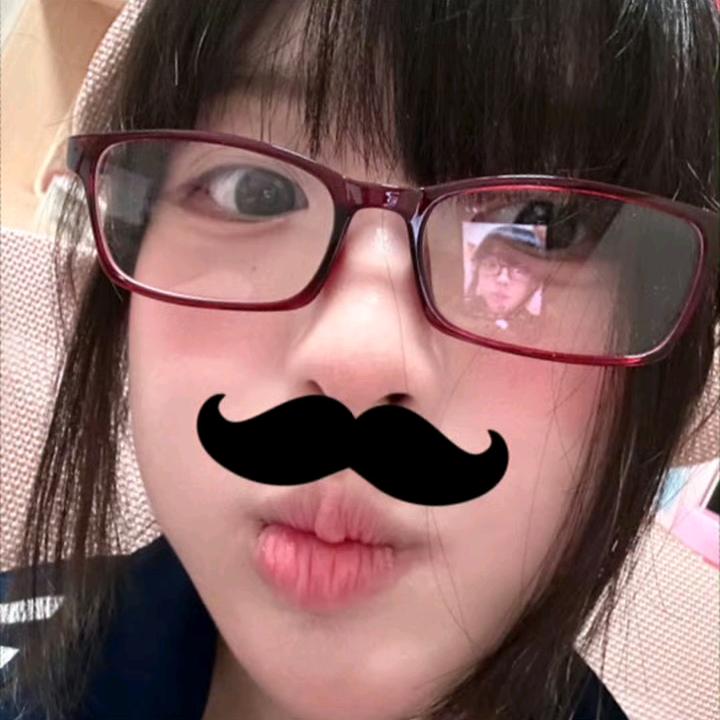 QvQing（见过碗盆版）