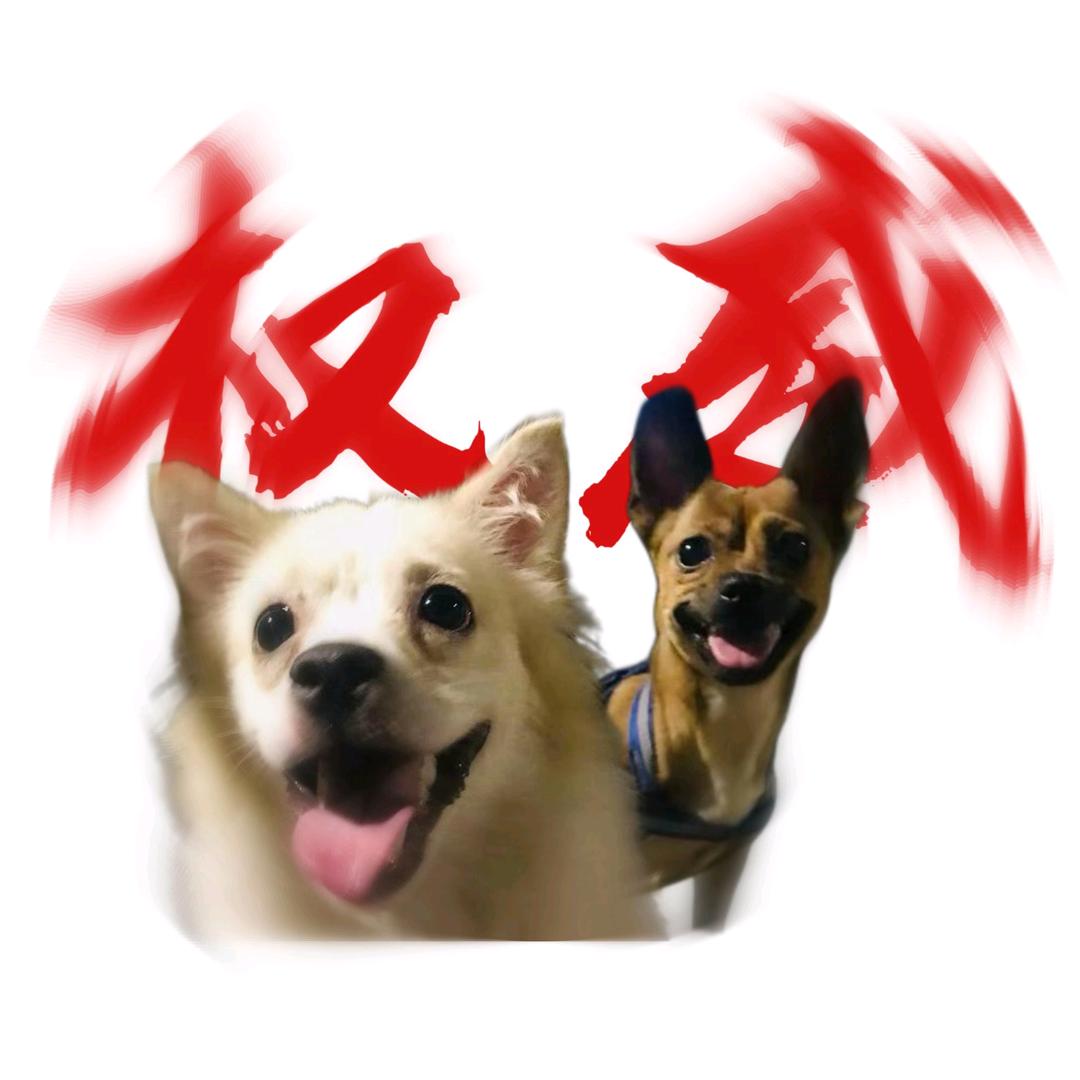 土地主理人AA