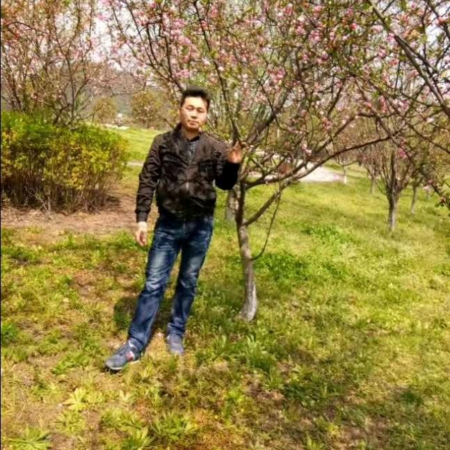 凡事都是空