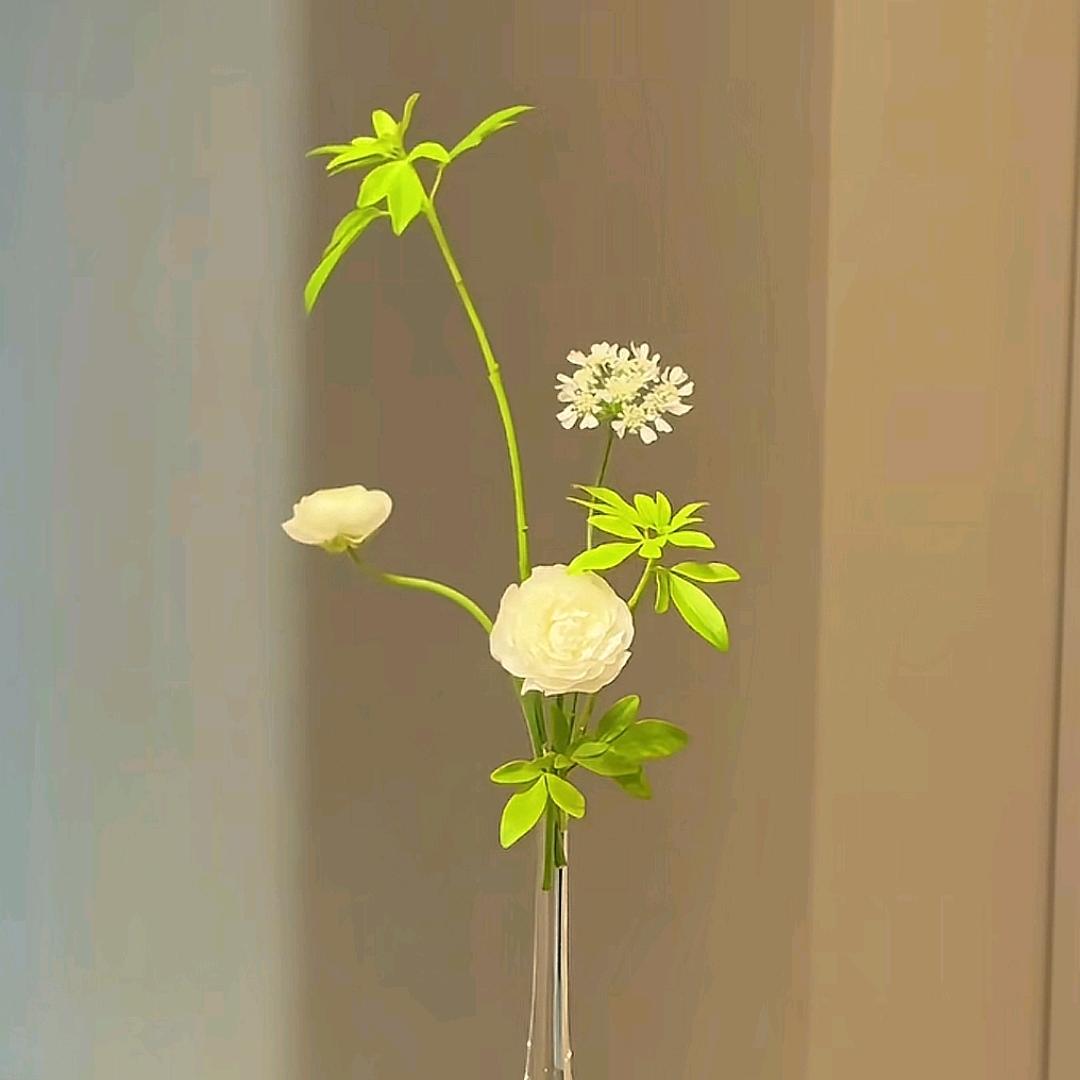 L❤️⁵¹⁵