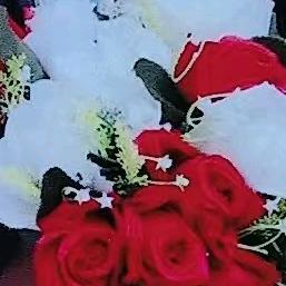 用户2605002681944丨亲情无价