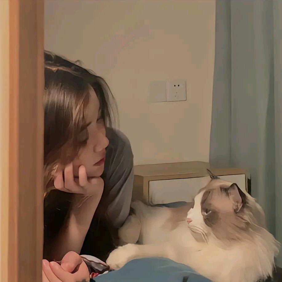 呆呆小智