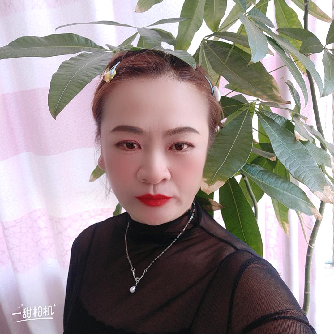 我是大屯的菲姐