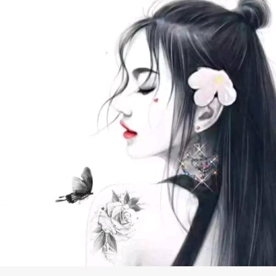 沙漠里的仙人掌