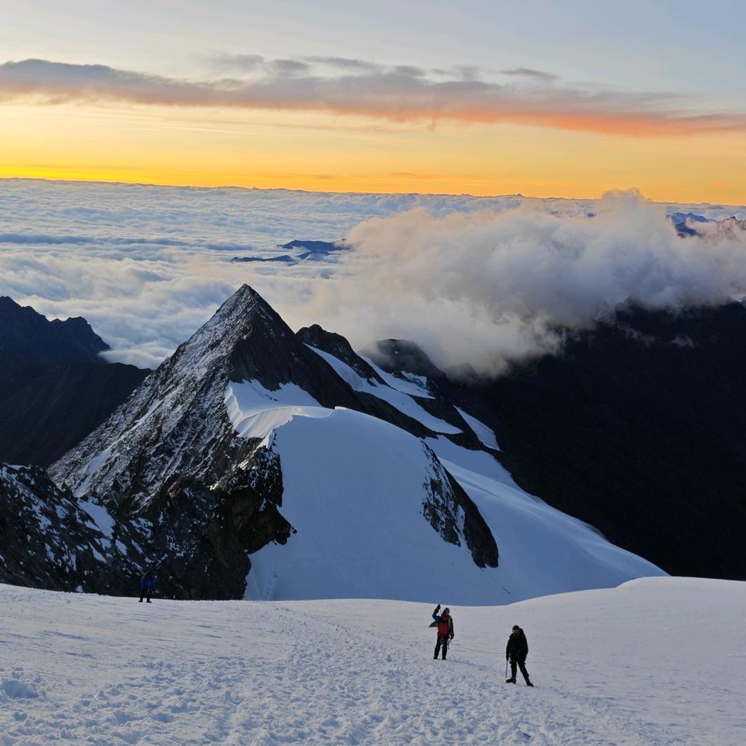 重庆小白菜俱乐部～大王