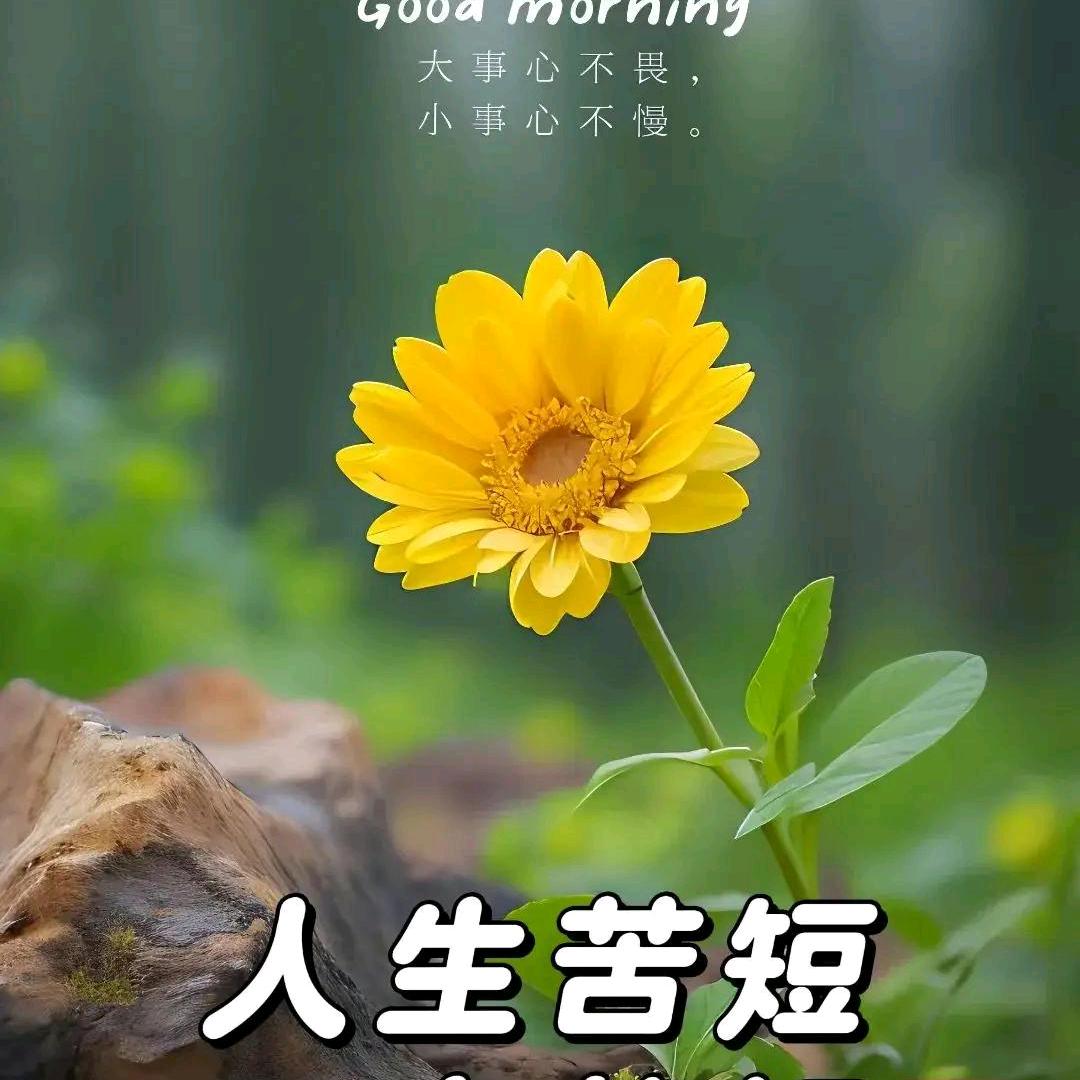 幻想沉默